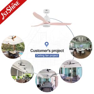 52'' Plastic LED Ceiling Fan With DC Motor And Dimming Lights