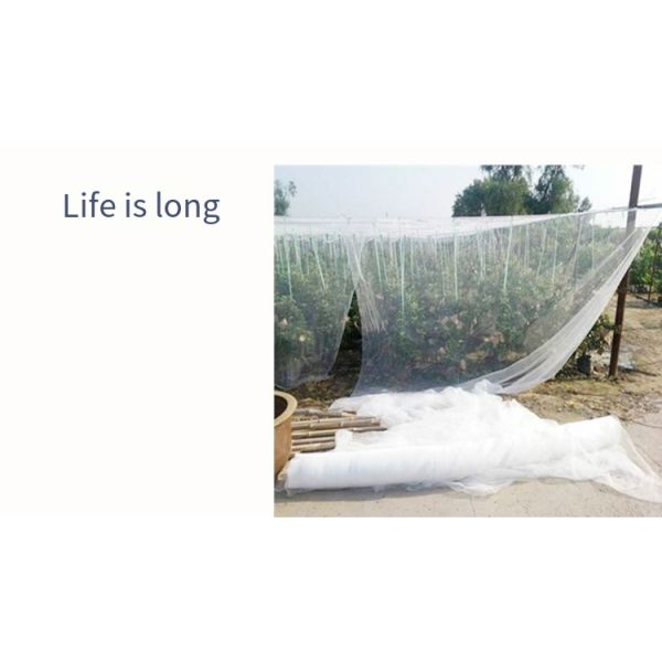 Cheap Price UV Stabilized PE Anti Bird Netting Plant and Fruit Anti Hail Netting
