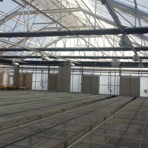 Single Span Tunnel Greenhouse Blackout System Hydroponic System Extreme Light