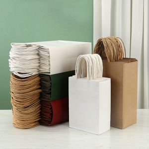 FSC Biodegradable Custom Logo Paper Bag With Handle