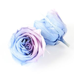 A Grade Preserved Rose Heads Customized Color Eternal Life Wedding Decoration