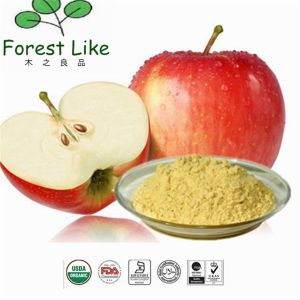 Prevent Vitamin Loss Apple Extract Apple Polyphenols Powder