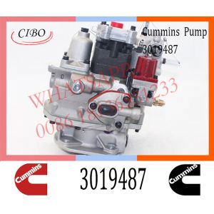 China Cummins Engine NTA855 PT Fuel Injection Pump 3019487 3062033 3019488 on sale