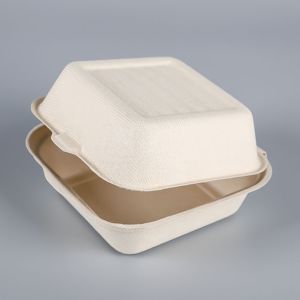 Contenedor Fibra envases Biodegradable Disposable Sugarcane Bagasse Paper Bamboo