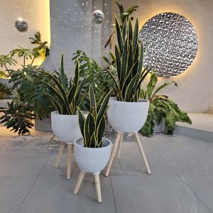 7-8 Years Indoor Life Time Reinforced Clay Planter Simple And Effortless