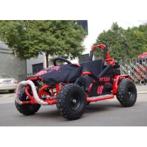 Hot Spring 2017 Kids Use Mini Go Kart