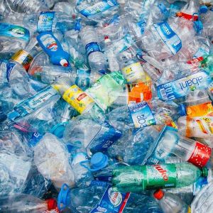 Plastic Pallet Injection Moulding Making Equipment Machine