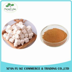 Recover Immunity Statem Chinese Herb Poria Cocos Extract