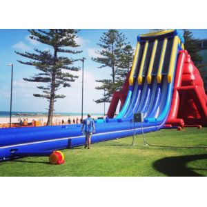 Outdoor Entermainment Inflatable Water Slide With Pool Fire Retardant