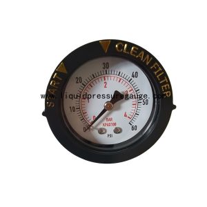 1/4" NPT Swimming Pool Water Pressure Tester 60psi With ABS Ring