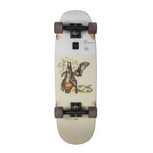 Cheap Globe Short Cut Flying Foxes Cruiser Complete Skateboard - 8.75&quot; x 28&quot; for sale