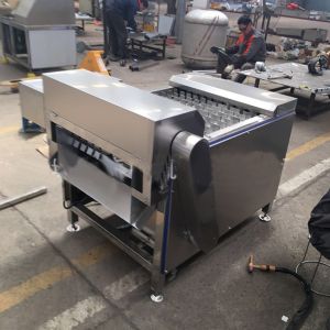Frozen Hairtail Fish Processing Machines Filleting Fish Slicer Machine