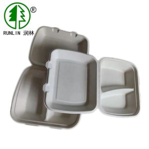 9in X 7in Biodegradable Takeaway Boxes Bagasse Pulp 2 Split Clamshell Box