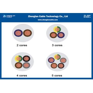 RVV Cable With The Core Number 2 Core To 41 Core/PVC Insulated /Rated Voltage