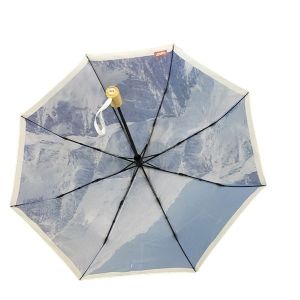 China Digital Printing Metal Frame Windproof Folding Umbrella With Bamboo Handle on sale