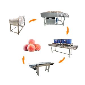 Full Automatic Vegetable Processing Equipment Fruit Processing Line