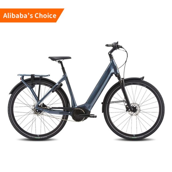 Quality 25km/H Long Range Electric City Road Bike 750w High Power Two Wheel wholesale