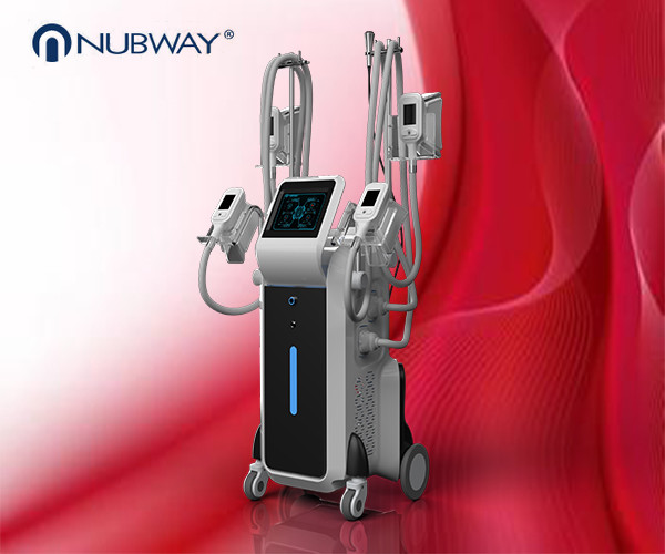Quality 4 Handles Body Slimming Fat Freezing cryolipolysis slimming machine wholesale