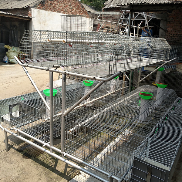 Quality 2 Layer Commercial Rabbit Farming Cages Automatic Drinking And Cleaning wholesale