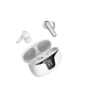 Private Mold Two Mic TWS Earphones for Noise Cancelling and HD Voice in In Ear