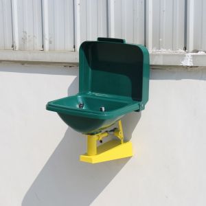 Anti-corrosion Wall-mounted ABS-cover ABS basin eye washer Auto open and close