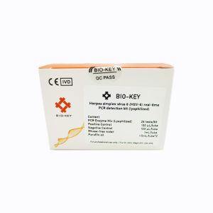 Real Time HSV-6 Herpes Simplex Virus PCR Lyophilized 24tests/Kit
