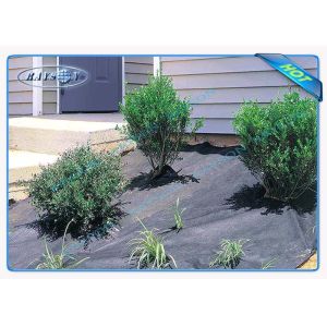China 3%UV Garden Weed Control Fabric , Polypropylene Agriculture Non Woven Cover on sale