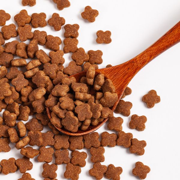 Quality High-Protein Grain-Free Cat Food for Small to Giant Breeds by Niuke wholesale