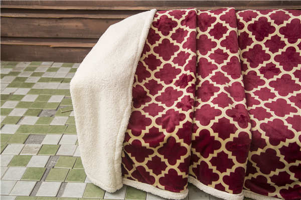 Floral Printed Plush Velvet Sherpa Blanket 2 Ply With Folded Edge Allergy Free