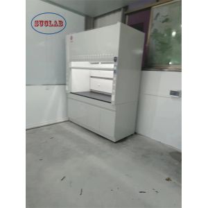 Customized Laboratory Fume Hood Lab Fume Hoods Anti-static Safety System 220V