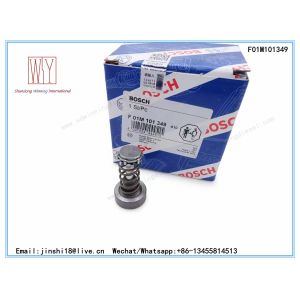 China BOSCH GENUINE AND BRAND NEW COMMON RAIL CP1 PUMP PLUNGER ASSY F01M101349 F 01M 101 349 on sale