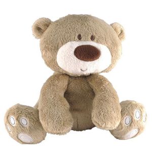 Bear plush dolls with rattles