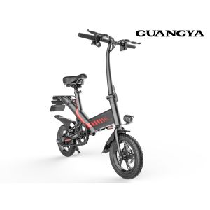 Fashion HD Display Device Lithium Battery Folding Electric Bicycle for