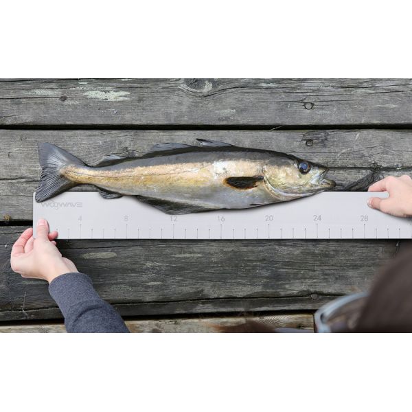 Accurate Measurements Made Easy with our Waterproof Fish Ruler and EVA Boat Flooring