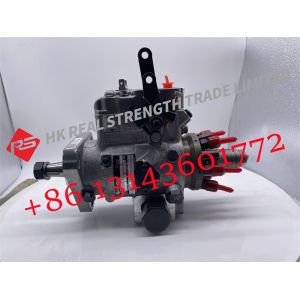 China Diesel Engine Common Rail Fuel Injection Pump DB4629-6175 DB46296175 on sale
