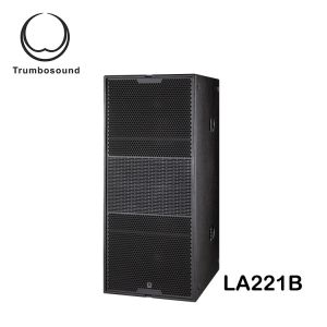 Three-way 12 inch line array loudspeaker with neo speaker concert and stage
