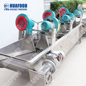 Processing Line For Fruits And Vegetables Multifunctional Cleaning Machine