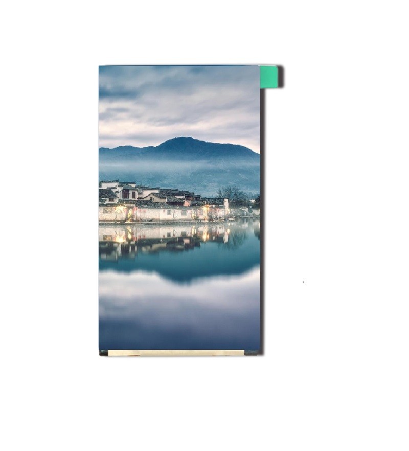 High Performance 5 Inch VA LCD Display 800*480 With MIPI Interface