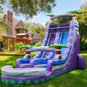 Custom Logo Printed 2024 Inflatable Water Slide Bounce House with Slide and
