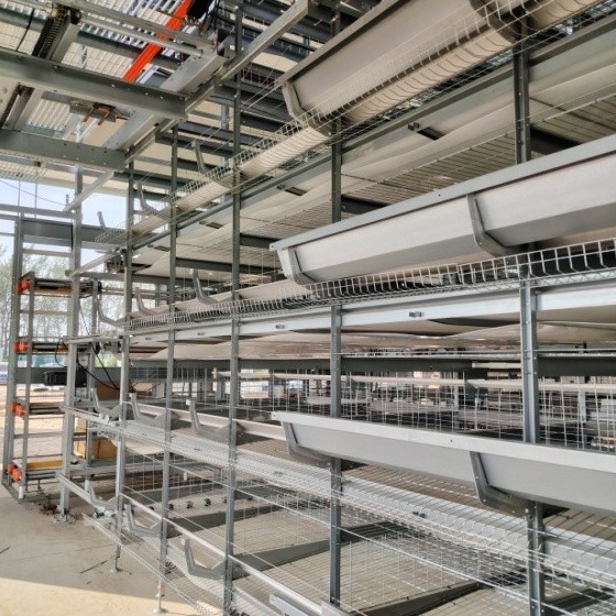 Quality 4-Tier Fully Automated Layer Housing System with Galvanized Frame & Auto Collection wholesale