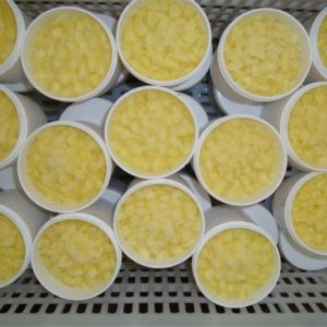 China 10-HDA 1.8% Organic Fresh Royal Jelly 100% Pure on sale