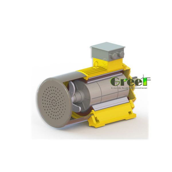 SKF Bearing Permanent Magnet Generator For Wind Turbine High Efficiency Energy