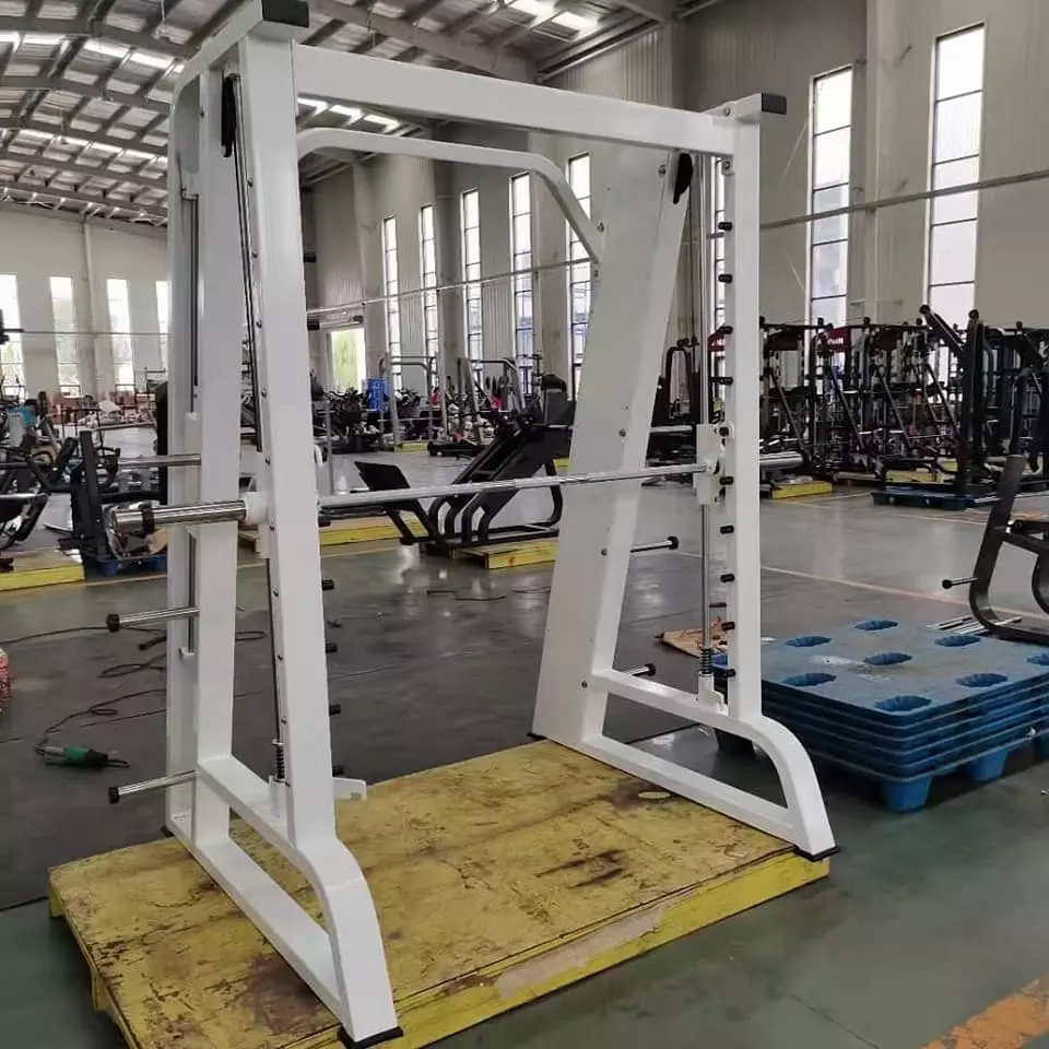 Commercial Indoor Gym Steel Smith Squat Multi-Function Exercise Machine Unisex Bodybuilding Station
