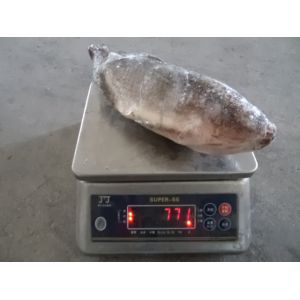 Cheap Frozen Tilapia Gutted&amp; Scaled Size before glaze 750g up for sale
