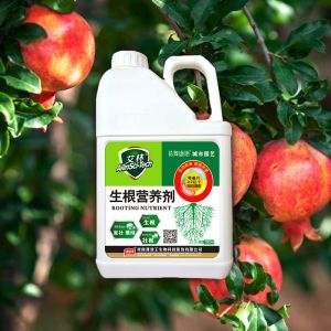 Liquid Microbial Bio Fertilizer For Promoting Root Growth
