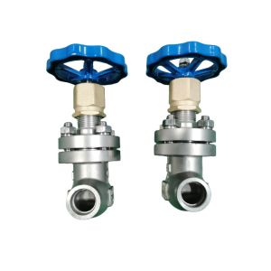 LNG LO2 LN2 DN15 PN40 Stainless Steel Globe Valve