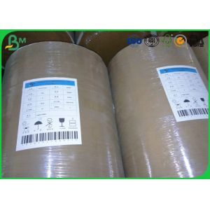 FBB Ivory Cardboard Paper Roll One Side Coated White 300gsm 350gsm With Good