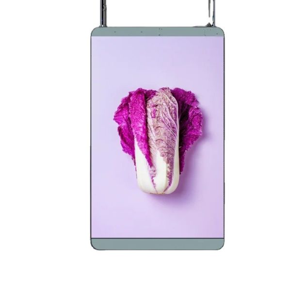 Shopping Mall And Restaurant Advertising LED Poster Screen With Definition