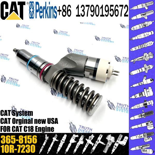 Quality Common Rail Injector 10R-9787 365-8156 253-0618 10R-0724 295-9085 211-3028 374-0705 For Caterpillar C18 Engine Excavator wholesale