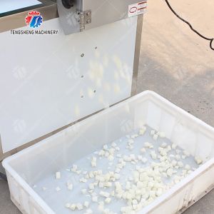 Double head vegetable cutting machine papaya chieh qua pumpkin wax gourd Ginger